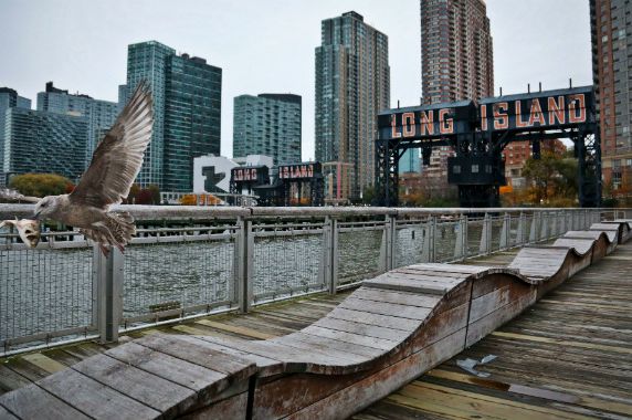 A sea gull flies off holding fish scraps near a former dock facility outside Gantry State Park in Long Island City